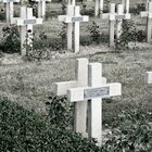 Friedhof in Frankreich