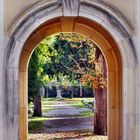 Friedhof in Gotha