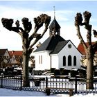 Friedhof in Holm