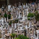 Friedhof in Hongkong #1