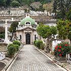 Friedhof in Hongkong #2