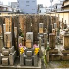 Friedhof in Kyoto