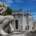 Friedhof in Lissabon