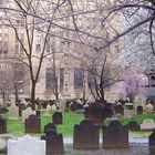 Friedhof in NYC