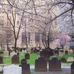 Friedhof in NYC