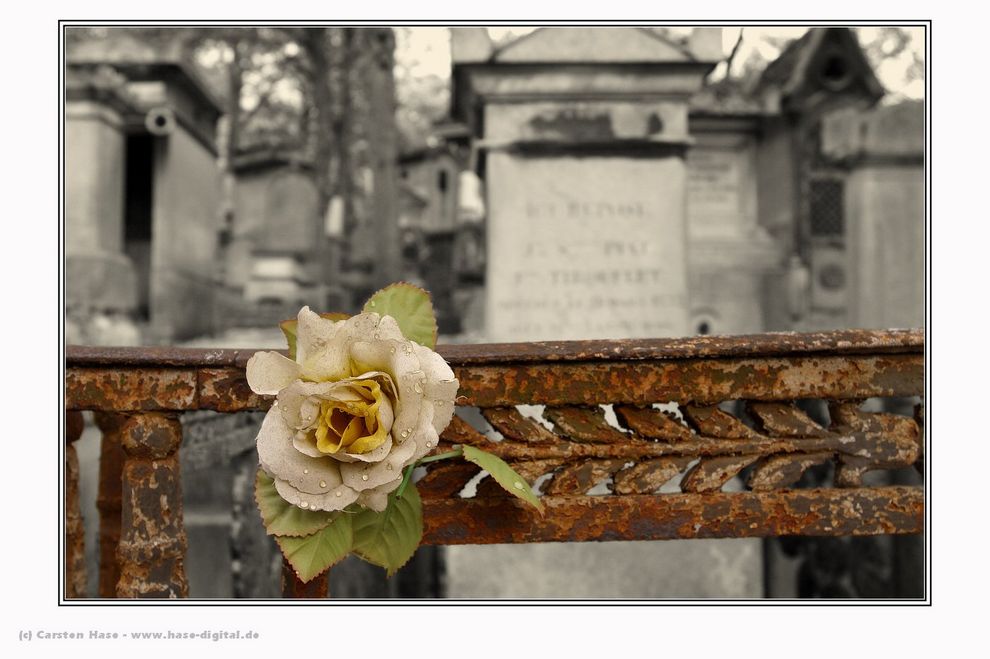 Friedhof in Paris...