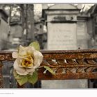 Friedhof in Paris...