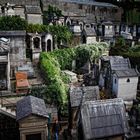 Friedhof in Paris/ Montmartre