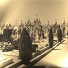 friedhof in porto 1