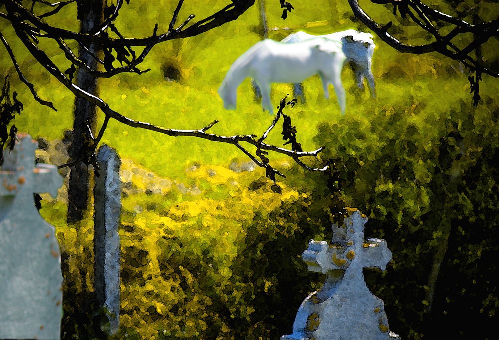 Friedhof in Richis - Reichesdorf bearbeitet