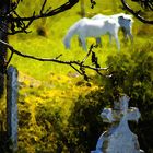 Friedhof in Richis - Reichesdorf bearbeitet