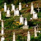 Friedhof in Rumänien