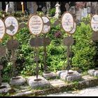 Friedhof in Salzburg