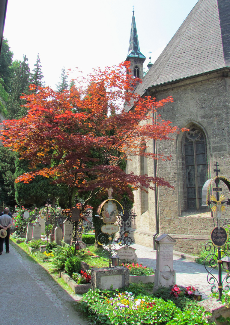 Friedhof in Salzburg