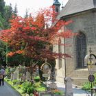 Friedhof in Salzburg