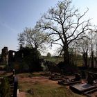 Friedhof in Spithal (Wendland)