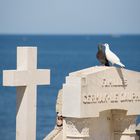 Friedhof in St. Tropez an Coté a'Azur