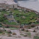  Friedhof in Tel Aviv