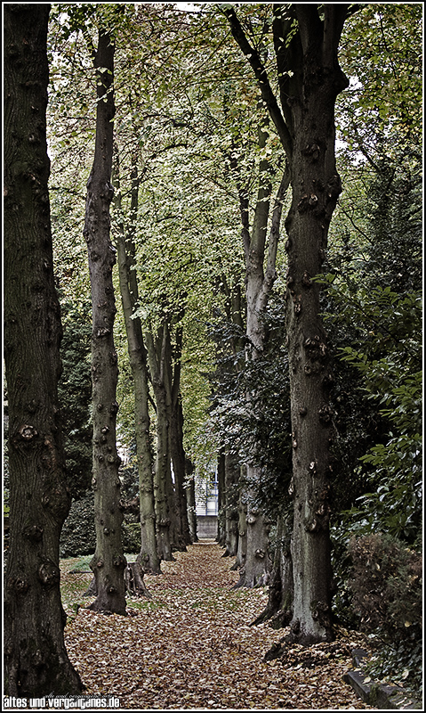 Friedhof in Unna (04)