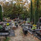 Friedhof in Ustka, PL