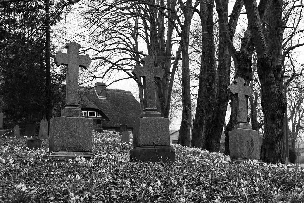 Friedhof in Vilmnitz - Zwischen Geschichte und Gegenwart