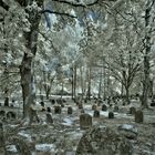 Friedhof IR