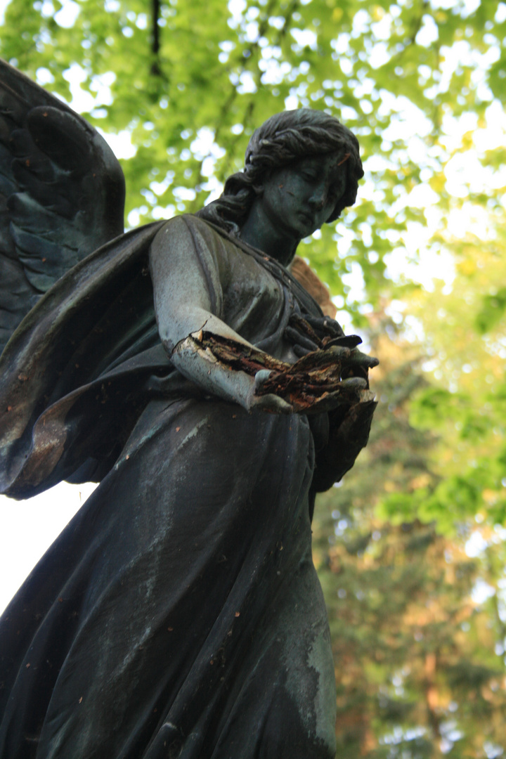 Friedhof Köln I