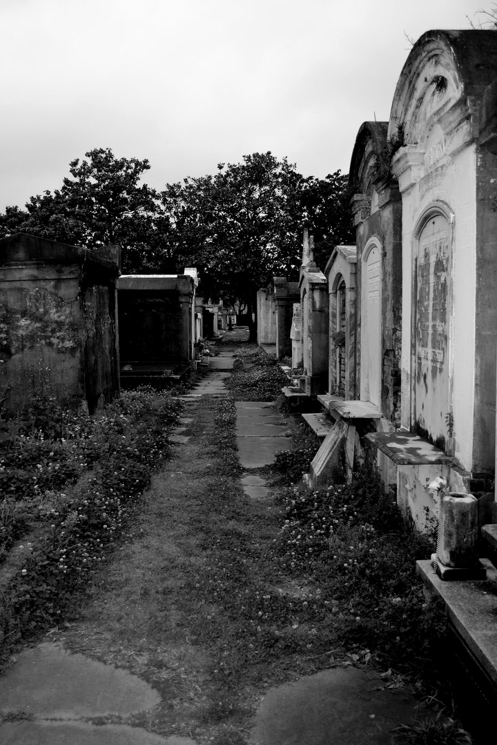 Friedhof Lafayette, New Orleans