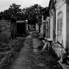 Friedhof Lafayette, New Orleans
