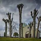 Friedhof Lichtenhain