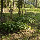 Friedhof Litauen in der nähe von Priekulè