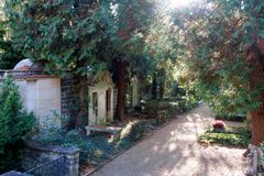 Friedhof Loschwitz