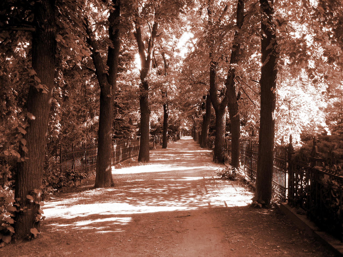 Friedhof, Luckenwalde