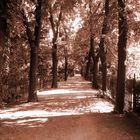 Friedhof, Luckenwalde