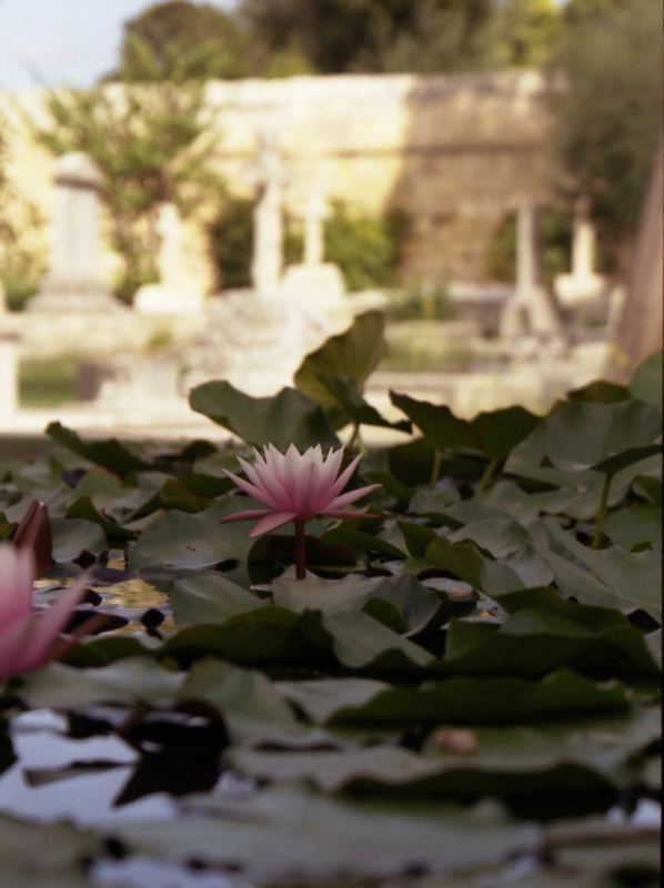 Friedhof Malta