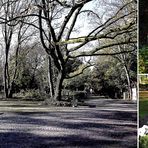 Friedhof Melaten in Köln