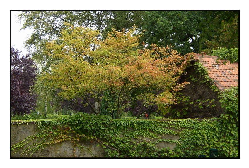 Friedhof Merzhausen bei Freiburg