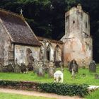 Friedhof mit Kirchruine im Brictonpark in England/Devon