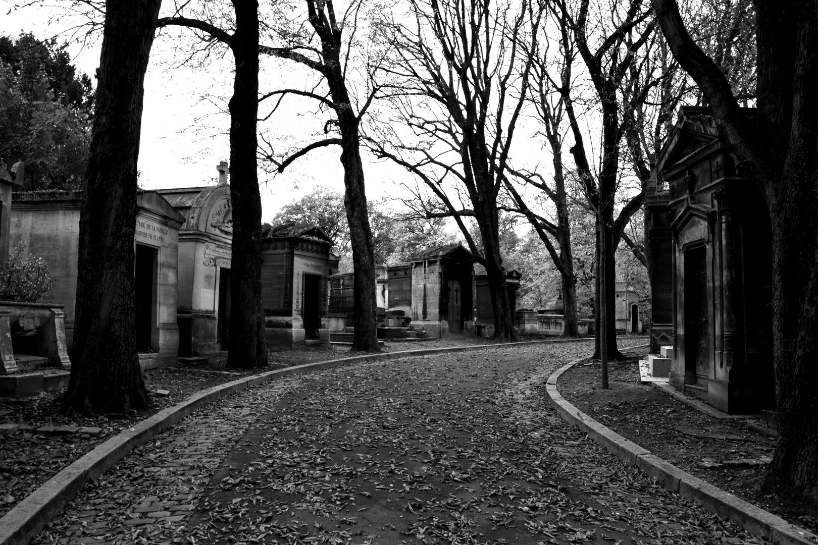 Friedhof - Montmartre - Paris