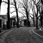 Friedhof - Montmartre - Paris