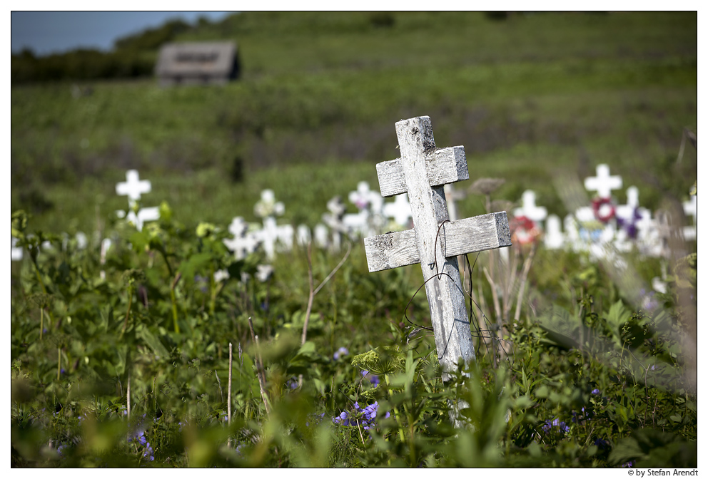 Friedhof Ninilchik