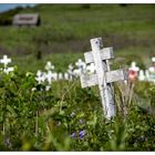 Friedhof Ninilchik