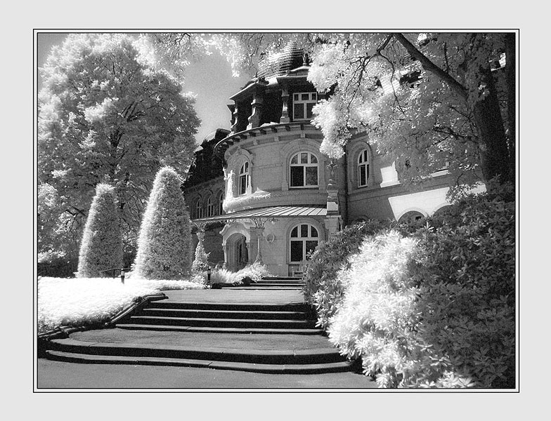 Friedhof Ohlsdorf...