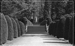 Friedhof Ohlsdorf - Eine Sicht in schwarz - weiß