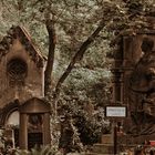 Friedhof Olsany in Prag