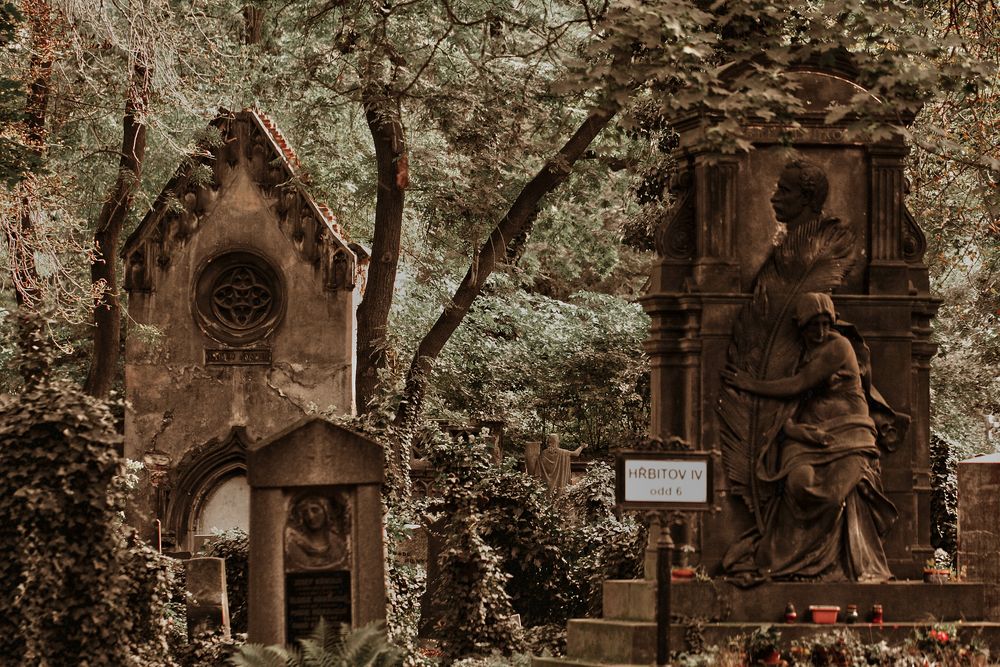 Friedhof Olsany in Prag