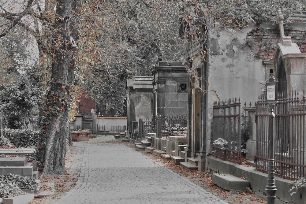 Friedhof Olsany Prag II