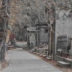 Friedhof Olsany Prag II