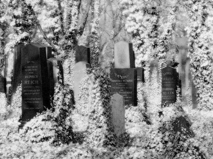 Friedhof Prag 10