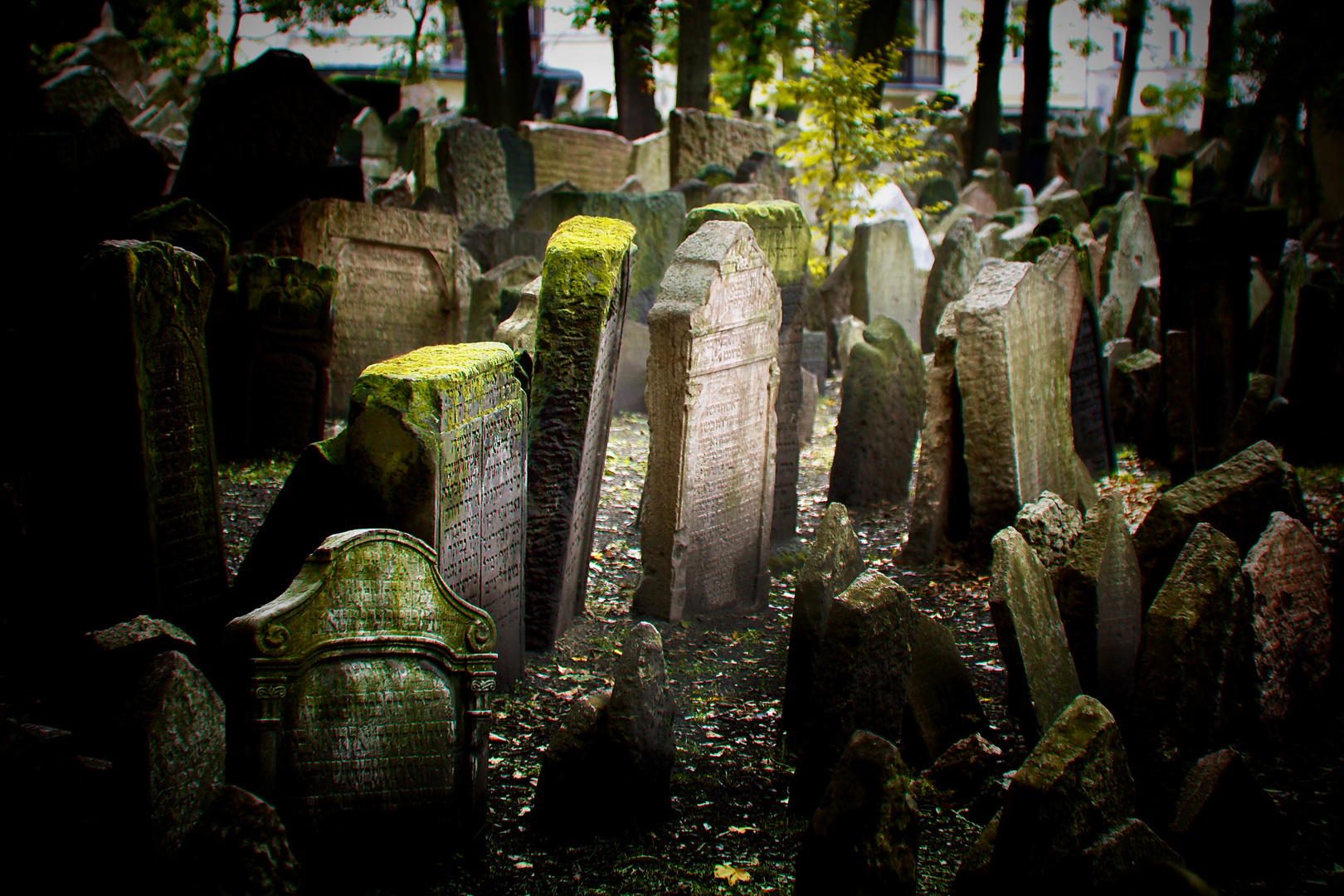 Friedhof Prag 2